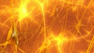 Miteinander verknüpfte Neuronen | Bild: BR