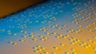 Louis Braille hat nicht nur die Blindenschrift für Buchstaben, sondern auch in der Notenschrift eingeführt. Durch das Lesen erlangen Blinde und Sehbehinderte mehr Unabhängigkeit. | Bild: colourbox.com