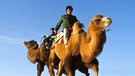 Kamele in der Wüste Gobi. Die alte Seidenstraße war früher der wichtigste Handelsweg zwischen Europa und China. An der Neuen Seidenstraße ist auch der Duisburger Hafen angeschlossen.  | Bild: picture alliance/Arco Images GmbH