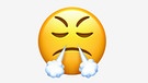 Steam from Nose Emoji. Smileys gehören zu unserer Kommunikation, ob als Tastenkombination (Emoticon) oder Bild (Emoji). Sie prägen unsere Kultur und Sprache. Wir erklären, was die Symbole bedeuten – und wie man sie missverstehen könnte.  | Bild: BR