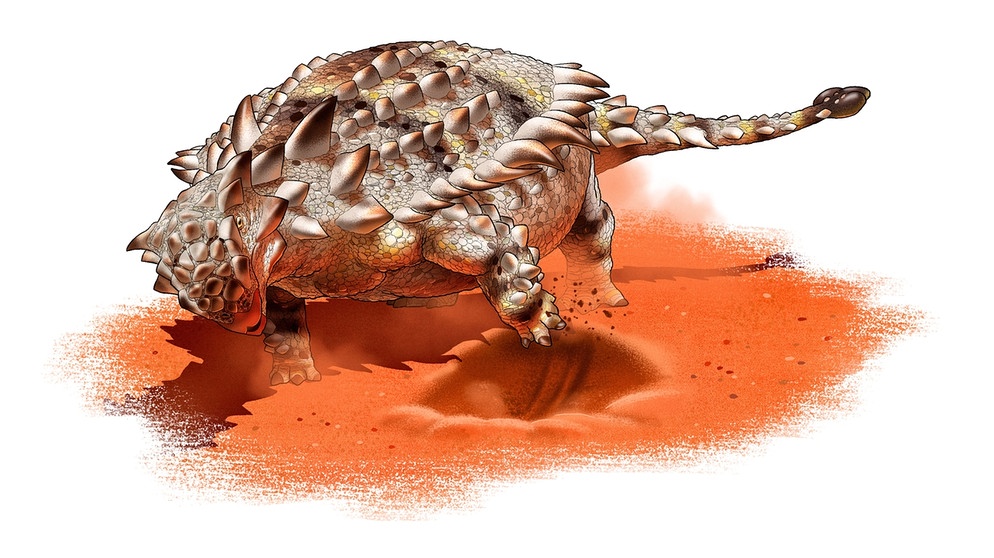 Grabender Ankylosaurier (künstlerische Darstellung) | Bild: Yusik Choi