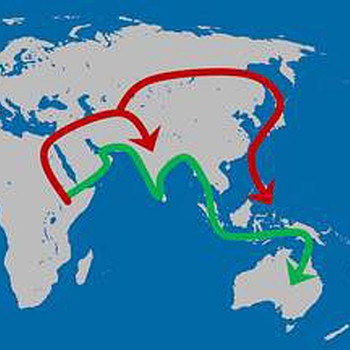 Wanderrouten des Out-of-Africa-Modells | Bild: Katerina Harvati/Universität Tübingen und Senckenberg Center for Human Evolution and Palaeoenvironment