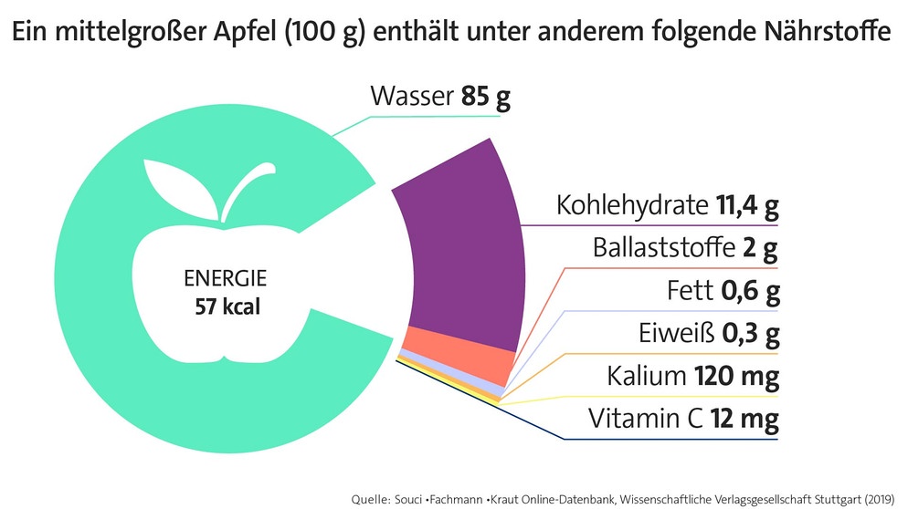Infografik: Nährstoffgehalt eines Apfels in Gramm. Äpfel sind gesund, kalorienarm und lecker. Am 11. Januar ist Tag des deutschen Apfels. Welche gesunden Inhaltsstoffe in der beliebtesten Frucht Deutschlands stecken, erfahrt ihr hier. Und wir erklären euch, warum der Apfel eine Symbolkraft hat. | Bild: BR Infografik: Nährstoffgehalt eines Apfels in Gramm. Äpfel sind gesund, kalorienarm und lecker. Am 11. Januar ist Tag des deutschen Apfels. Welche gesunden Inhaltsstoffe in der beliebtesten Frucht Deutschlands stecken, erfahrt ihr hier. Und wir erklären euch, warum der Apfel eine Symbolkraft hat. | Bild: BR