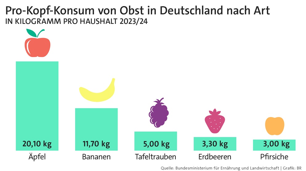 Eine Grafik mit den Top 5 Obstsorten, die im Schnitt pro Jahr in Deutschland verzehrt werden. Spitzenreiter ist der Apfel, gefolgt von Bananen, Trauben, Erdbeeren und Pfirsichen. Äpfel sind gesund, kalorienarm und lecker. Am 11. Januar ist Tag des deutschen Apfels. | Bild: BR Eine Grafik mit den Top 5 Obstsorten, die im Schnitt pro Jahr in Deutschland verzehrt werden. Spitzenreiter ist der Apfel, gefolgt von Bananen, Trauben, Erdbeeren und Pfirsichen. Äpfel sind gesund, kalorienarm und lecker. Am 11. Januar ist Tag des deutschen Apfels. | Bild: BR