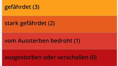 Die Gefährdung bedrohter Arten wird auf der Roten Liste in verschiedenen Graden angegeben: nicht gefährdet, gefährdet, stark gefährdet, vom Aussterben bedroht. Die Abstufung auf der internationalen Roten Liste der IUCN sind ähnlich, aber nicht genau übereinstimmend. | Bild: BR Die Gefährdung bedrohter Arten wird auf der Roten Liste in verschiedenen Graden angegeben: nicht gefährdet, gefährdet, stark gefährdet, vom Aussterben bedroht. Die Abstufung auf der internationalen Roten Liste der IUCN sind ähnlich, aber nicht genau übereinstimmend. | Bild: BR