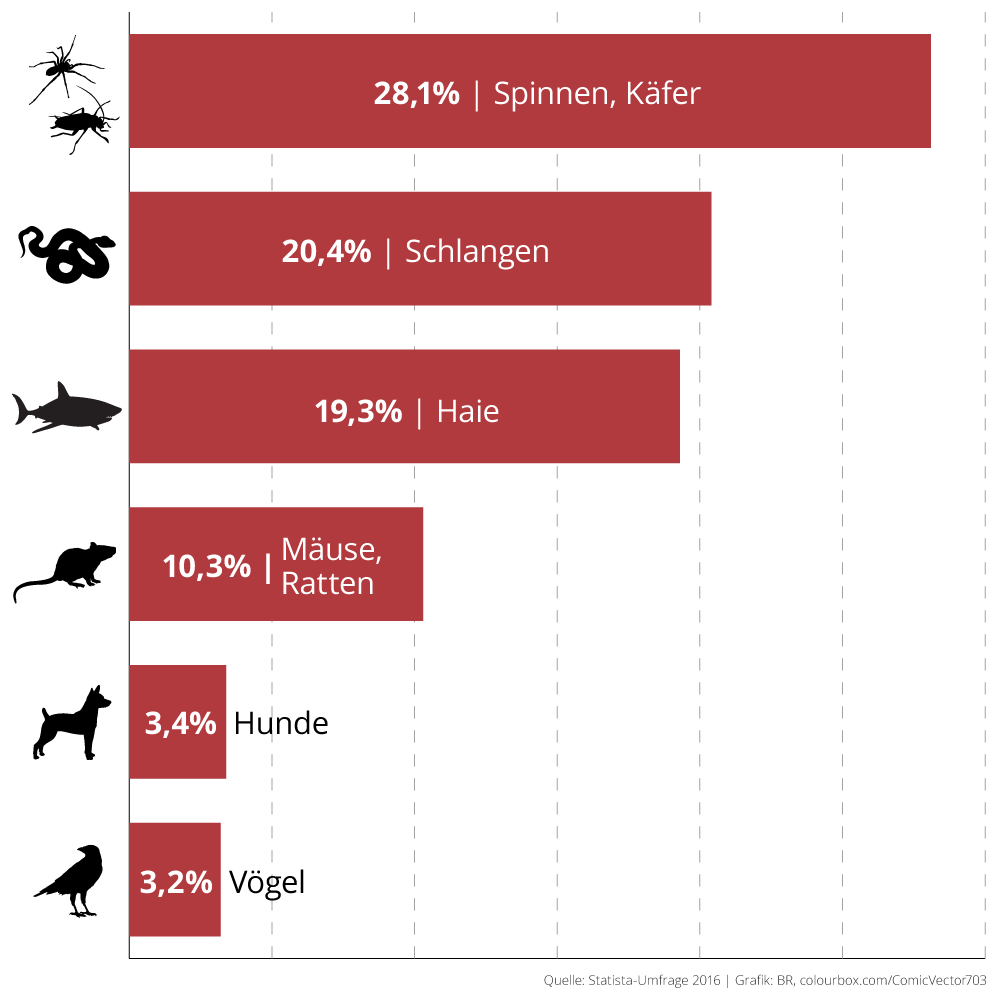 Infografik: Angst vor Tieren in Deutschland (2016) | Bild: Statista-Umfrage 2016, Grafik: BR, colourbox.com/ComicVector703 Infografik: Angst vor Tieren in Deutschland (2016) | Bild: Statista-Umfrage 2016, Grafik: BR, colourbox.com/ComicVector703