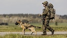 Einsatzhund der Bundeswehr: Ein Soldat der Bundeswehr mit einem Einsatzhund, aufgenommen im Rahmen der Bundeswehrübung 'Schneller Adler' in Barth, 05.05.2022. Die Übung 'Schneller Adler' simuliert eine Evakuierung deutscher Staatsbürger aus einem fiktiven Krisenland innerhalb kurzer Zeit. | Bild: picture alliance / photothek | Florian Gaertner