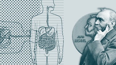 Symbolische Darstellung: der Nobelpreis für Medizin oder Physiologie | Bild: BR/Henrik Ullmann; picture-alliance/dpa 