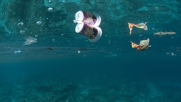Plastikbecher und Plastikmüll schwimmen im Meer | Bild: imago/imagebroker