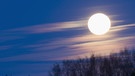 Vollmond. Welche Mondmythen sind wissenschaftlich bewiesen? | Bild: picture-alliance/dpa