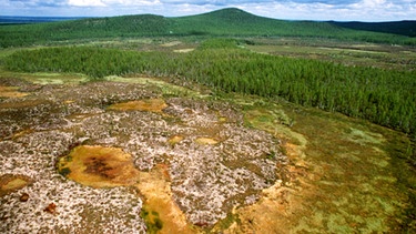 Die Gegend des Tunguska-Ereignisses im Jahr 1990 | Bild: picture-alliance/dpa
