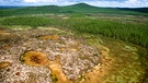 Die Gegend des Tunguska-Ereignisses im Jahr 1990 | Bild: picture-alliance/dpa
