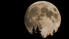 Gerade bei Vollmond wirkt das Gestirn am Horizont manchmal riesengroß. Dann erkennt man auch, dass er uns immer dieselbe Seite zuwendet. Das liegt an seiner gebundenen Rotation zur Erde. | Bild: Helmut Herbel