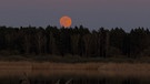 Vollmond über dem Beetzsee bei Brandenburg, fotografiert von Lisa Anders | Bild: Lisa Anders